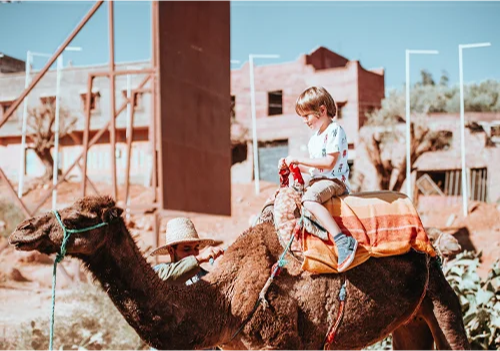 EXPLORING THE BUGGY IN THE PALMERAIE OF MARRAKECH
