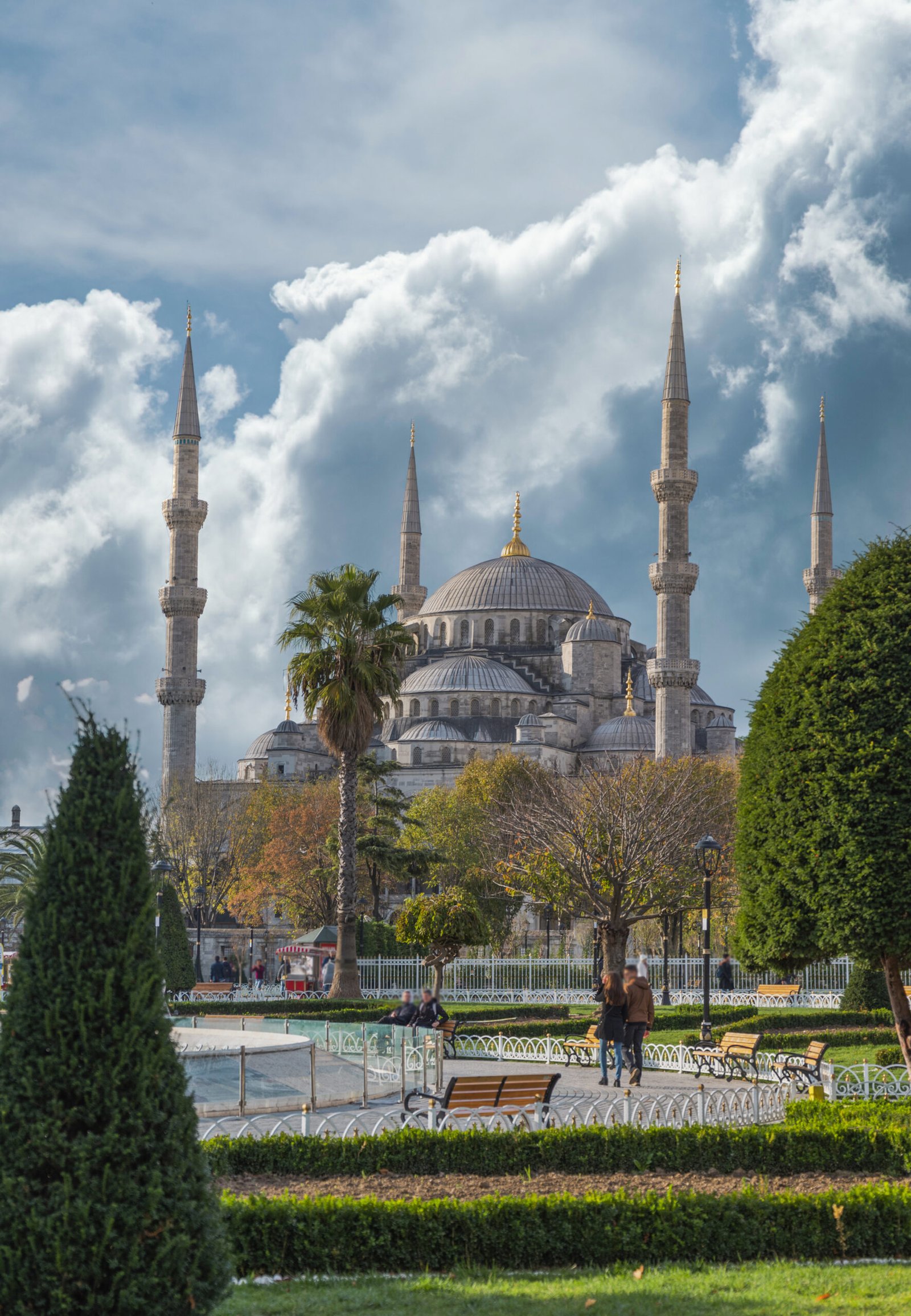 International Travel